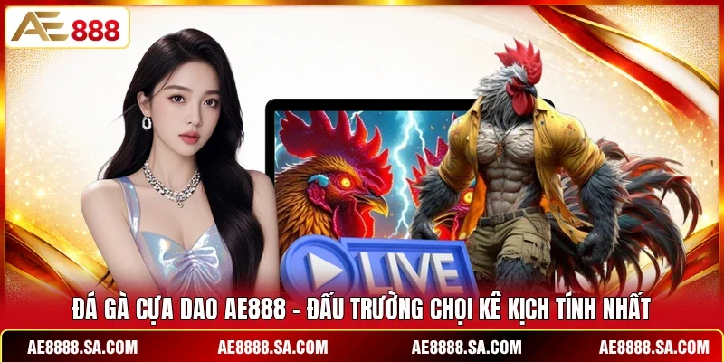 Đá Gà Cựa Dao AE888 - Đấu Trường Chọi Kê Kịch Tính Nhất