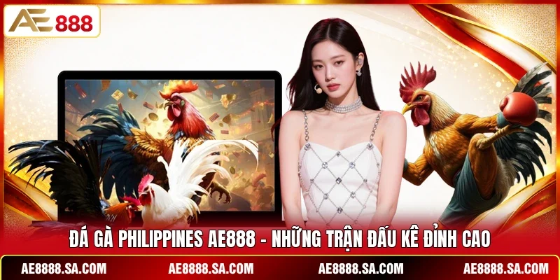 Đá Gà Philippines AE888 - Những Trận Đấu Kê Đỉnh Cao